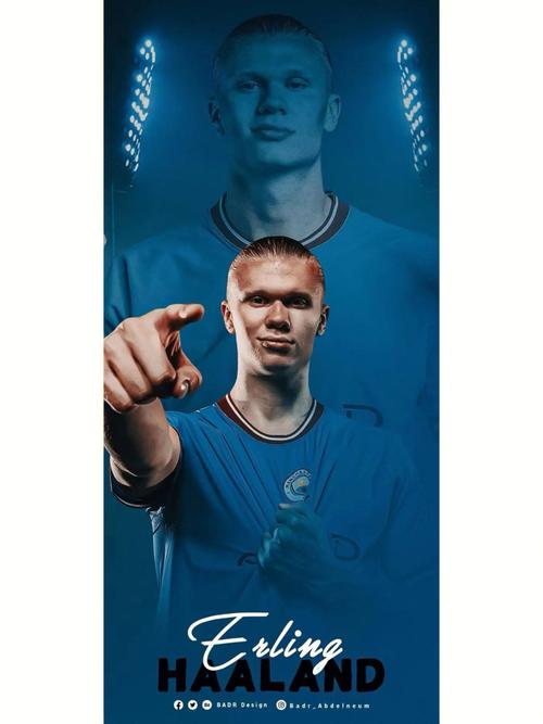 属强约12 属强约12